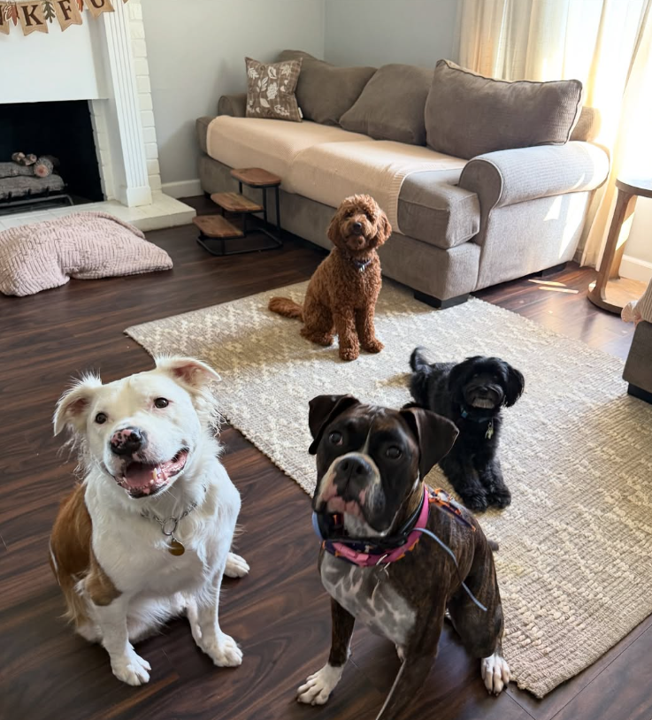 A Home, Not a Kennel